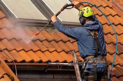 Démoussage et hydrofuge de toiture à Vérin